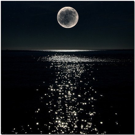  月光下的海