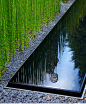 竹园林绿化：苔：最小花园....  反映池，砾石和（再次）木贼hymale。 由安东尼·保罗·景观设计的住宅花园科巴姆，英国萨里设计。  

