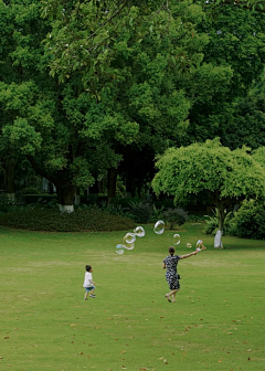 左边生活采集到自然风景