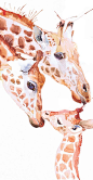 Giraffe print animal art painting watercolor nursery by ValrArt: 