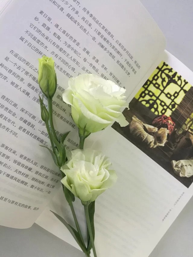 时光就这么流逝，那些走进我记忆的花与物，...