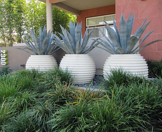 Agave Groove Pots! F...