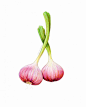 82张蔬菜水果彩铅画图片素材 蔬菜水果彩铅画高清图片_www.youyix.com