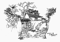 peonybeibei采集到钢笔画