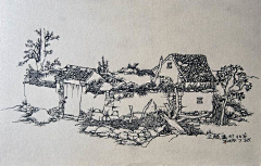 peonybeibei采集到钢笔画