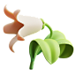 Tulip 3D Illustration