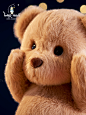 莉娜熊TeddyTales手工泰迪熊玩偶情侣闺蜜少女礼物 中号熊基础款-淘宝网