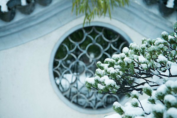 冬日西湖之美，断桥残雪