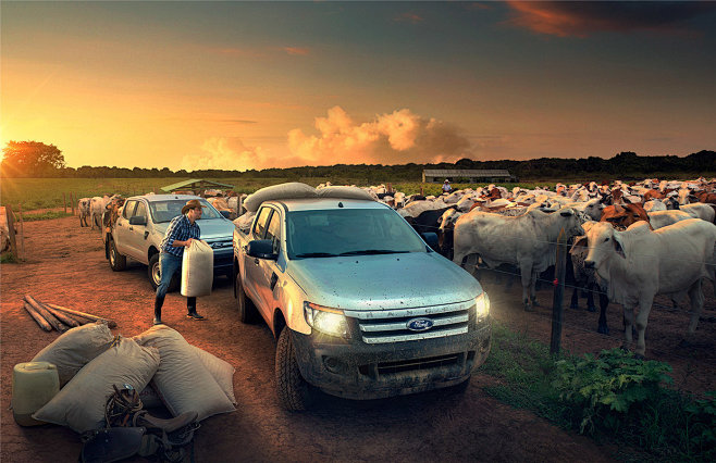 Ford – Ranger 2014 :...