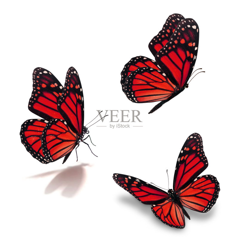 48a85d25e8bbf30791779450bee40e346cc906ec1b8e7-GWlkCe