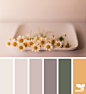 Design Seeds : Design Seeds color palettes ... posted daily for all who love color.