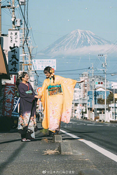 夏-花采集到2023-①