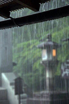 akong采集到在雨中