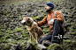 A man hiking with his dog.详情 - 创意图片 - 视觉中国 VCG.COM