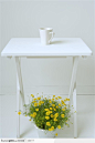 简单生活-白色桌子下的盆景