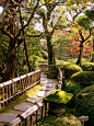 ~~Japanese Garden by ~Chuckduck~~