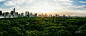 central-park-pano-workin-v2