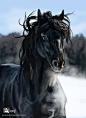 Horse #3 by Azany