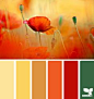 color field - design seeds