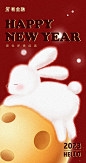 2023兔年新年海报图-源文件