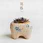 韩式花盆，文艺范十足，小象造型，四足鼎力，易排水透气。