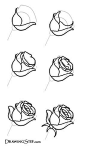 #绘画学习#
玫瑰，牡丹，以及各种花卉绘制设计过程参考！