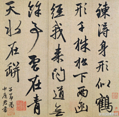 C花大盗采集到字画