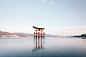 Itsukushima-jinja by Takashi Yasui on 500px