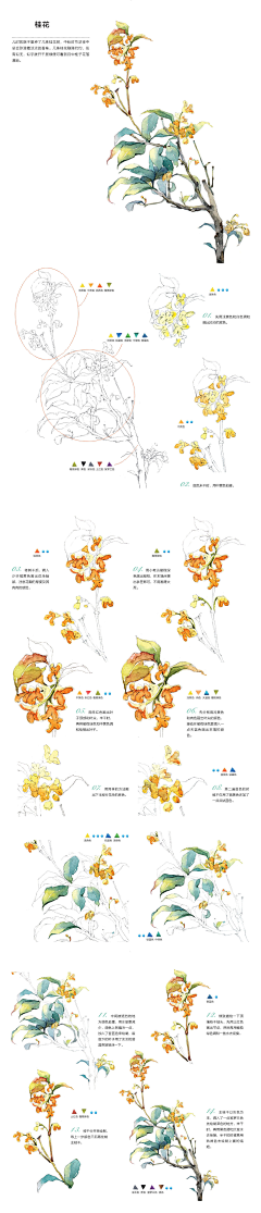 冰丶若梦采集到花、景