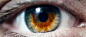 瞳 | The pupil