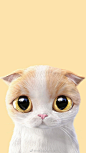 #LOGO设计# 谁画的大眼猫咪太可爱了你喜欢哪一只？ ​​​​