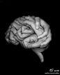 Brain hands