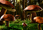 A forrest of mushrooms : We did this surrealistic work for the BEEF! magazine