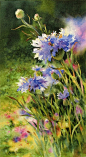 Floral Paintings / Susan Crouch watercolor