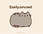 Pusheen the cat