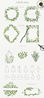 繁茂的水彩树叶元素、相框、纹理素材包 Leafy Leaf Collection#2367610 :  