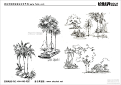 瓜牛ING采集到S手绘