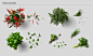 蔬菜素菜西餐酱料配料青菜水果样机模型超高清psd背景图片设计png素材