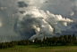 General 2048x1397 nature trees forest clouds field grass