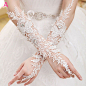 新娘婚纱蕾丝手套