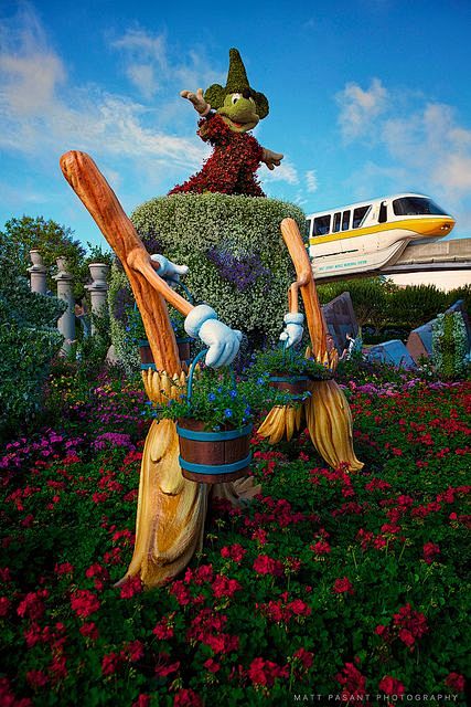 EPCOT - Flower and G...