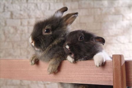 4a148bae5f288079b2a7fa2b20d50d2eebd50ea24aca-wqEtdB