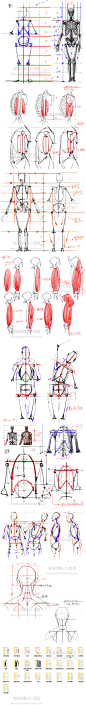 CG绘画 手绘 人体解剖 骨骼结构系列图片素材 279P-淘宝网