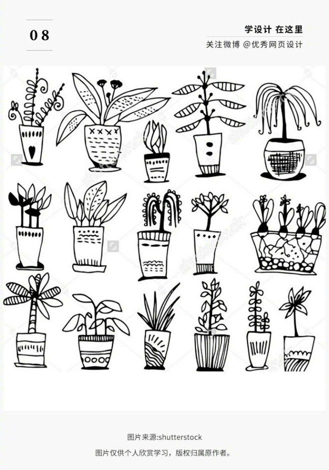 多种盆栽植物的手绘素材（转） ​​​​