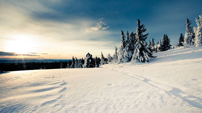 冬雪景！高清晰雪景色-树林树木壁纸---...