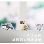 炒鸡萌！必备韩国透明PVC贴纸 可爱猫咪日记相册手帐贴纸 6张