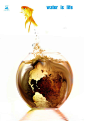 “水是生命”2011国际大学生海报设计大赛获奖作品(9)