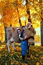 Precious farmgirl and her bovine friend...Heaven DOES visit earth in moments like this. Brings back memories!!
