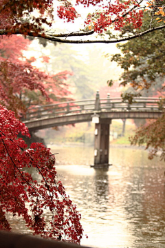 倾、颜采集到风景依旧