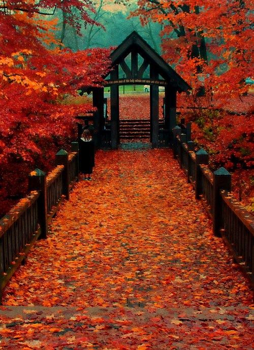 Autumn in Seven Brid...